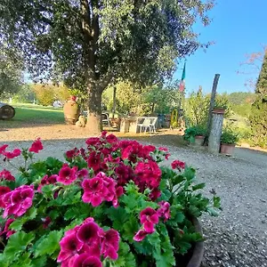 Alloggio per agriturismo Azienda Agricola Polveraia, San Gimignano